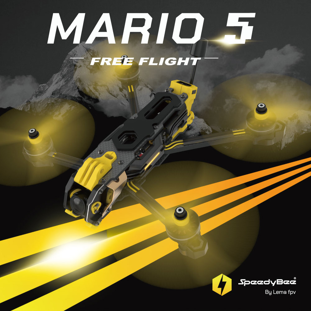 SpeedyBee Mario 5 Frame 5 inch - đánh giá và giá Skyzone Sky04O Pro Fpv Goggles